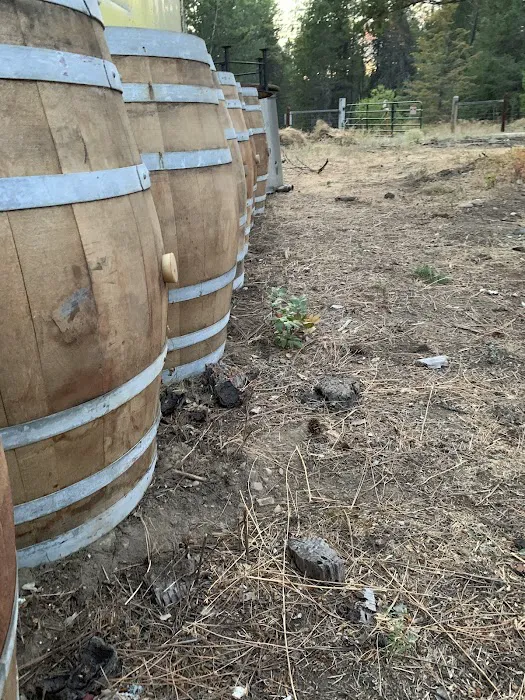 Dragonfly Ranch Picture 8
