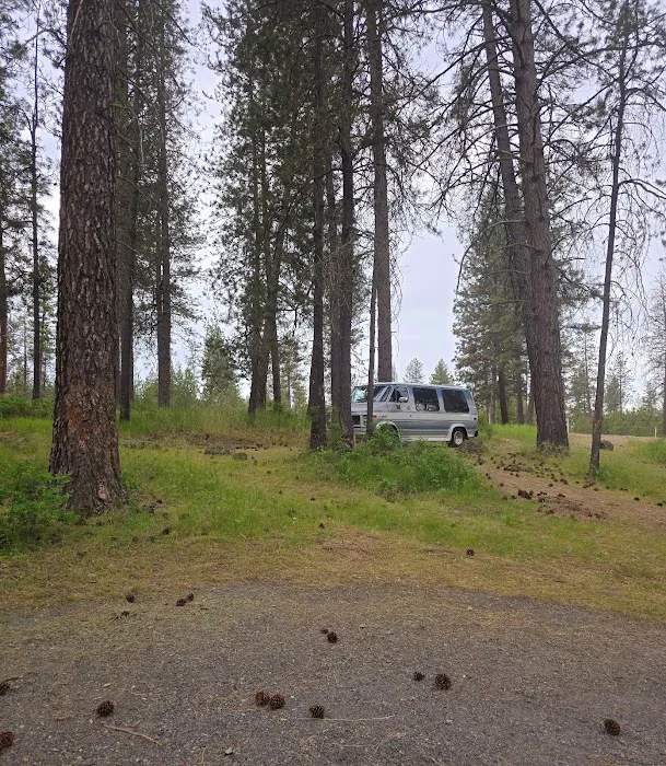 Dragoon Creek Picture 5