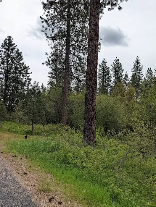 Dragoon Creek Picture 10