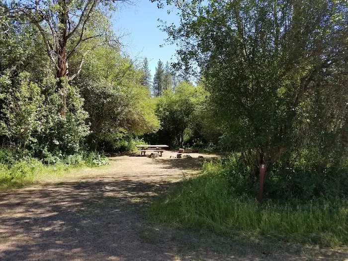 Dragoon Creek Picture 7