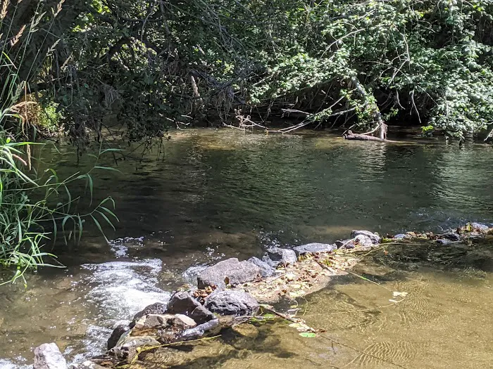 Dragoon Creek Picture 8