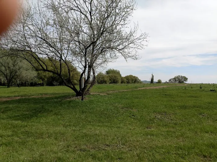 Willow Creek Retreat Picture 10