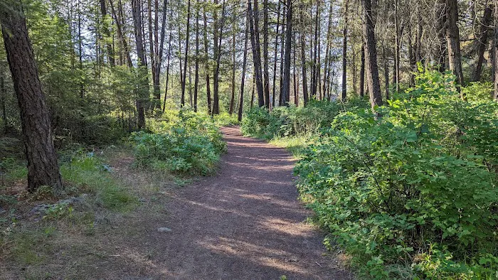 Riverside State Park - Bowl and Pitcher Area Picture 10