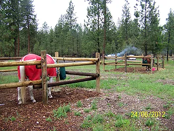 Equestrian Campground Picture 1