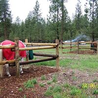 Equestrian Campground ico