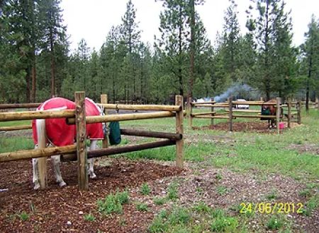 Equestrian Campground