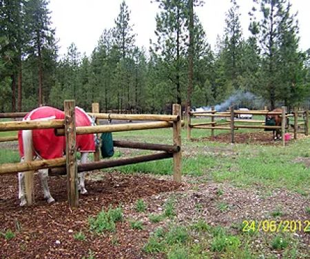 Equestrian Campground
