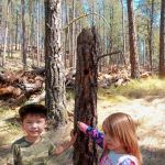 Little Pend Oreille Resort and Campground