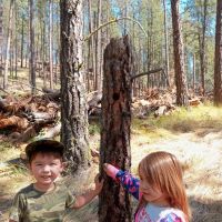 Little Pend Oreille Resort and Campground ico