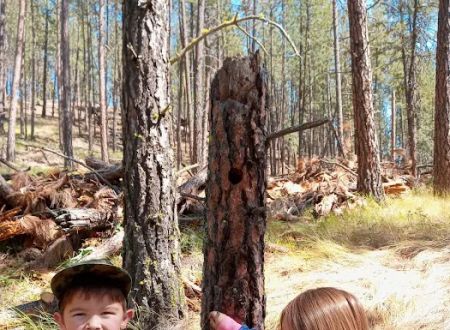 Little Pend Oreille Resort and Campground