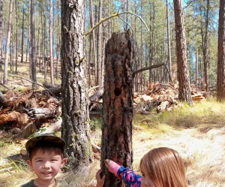 Little Pend Oreille Resort and Campground