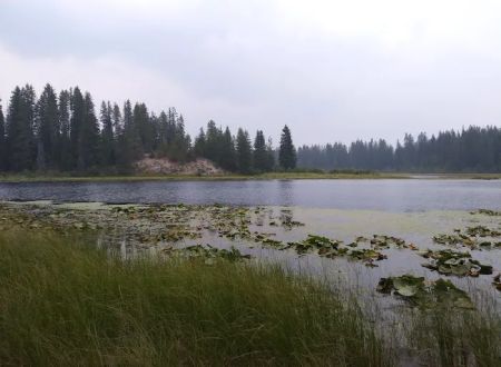 Little Twin Lakes Campground