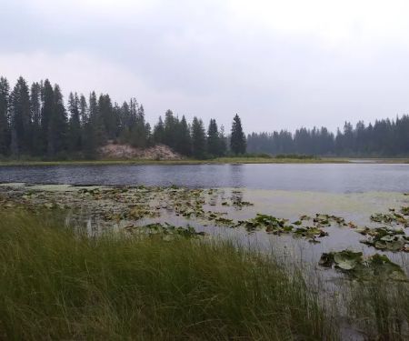 Little Twin Lakes Campground