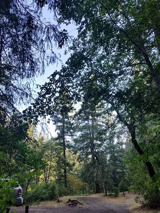 Hobo Gulch Campground Picture 4