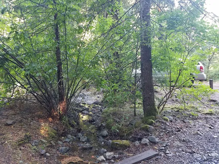 Hobo Gulch Campground Picture 7