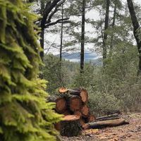 Slide Creek Campground ico