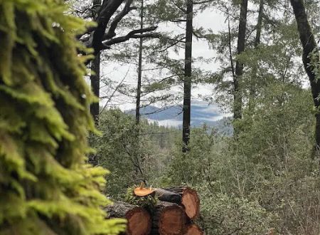 Slide Creek Campground