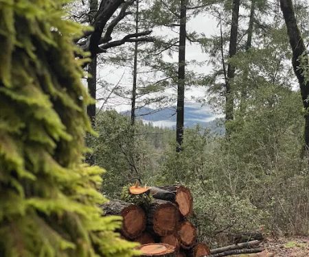 Slide Creek Campground