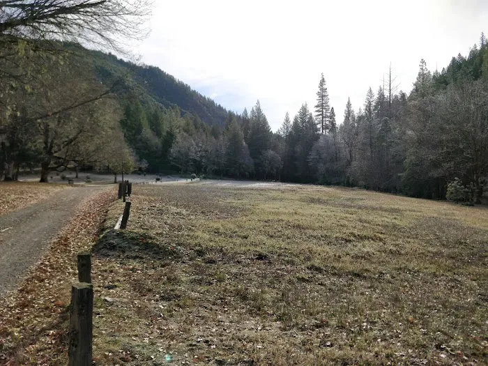 Scott Flat Cg Picture 4