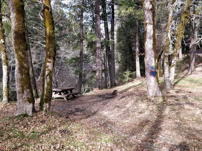 Scott Flat Cg Picture 3
