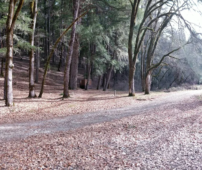Scott Flat Cg Picture 1