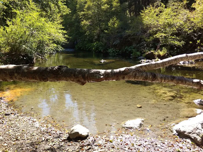 Hells Gate Campground Picture 8