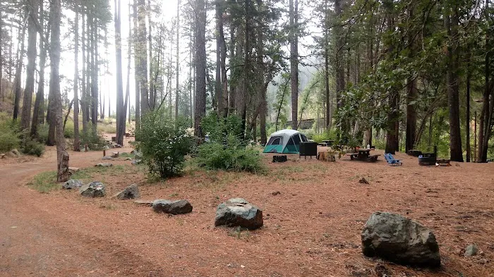 Forest Glen Campground Picture 3