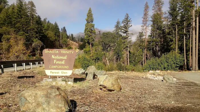 Forest Glen Campground Picture 1