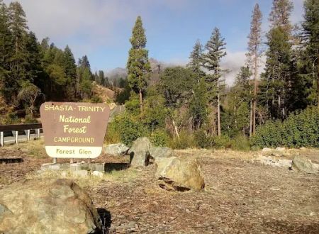 Forest Glen Campground