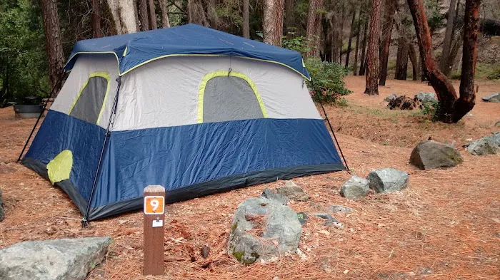 Forest Glen Campground Picture 4