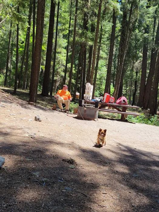 Bailey Canyon Campground Picture 7