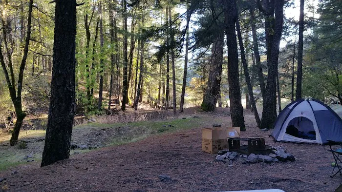 Ruth Lake Campground Picture 6