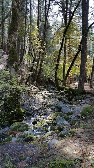 Ruth Lake Campground Picture 7