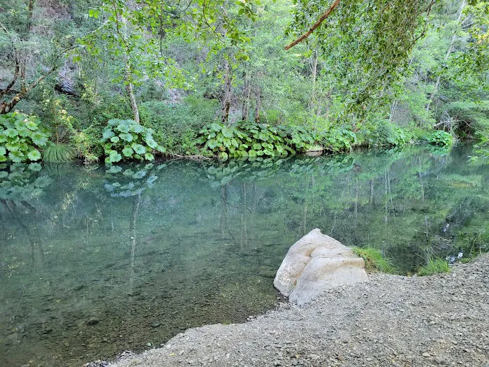 MAD RIVER CAMPGROUND Picture 8