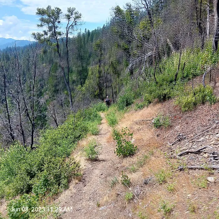 Denny Campground Picture 3
