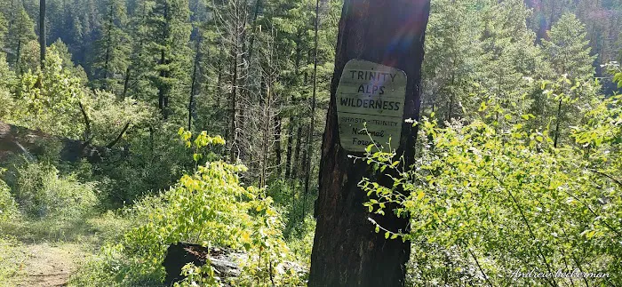 Denny Campground Picture 2