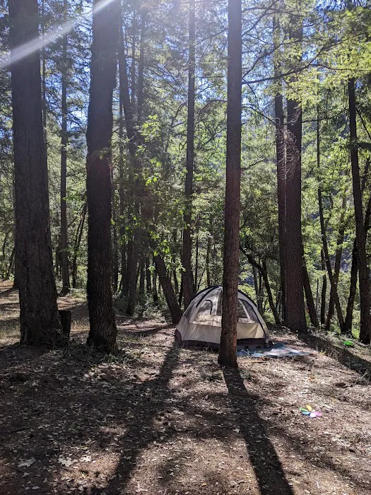 Denny Campground Picture 5