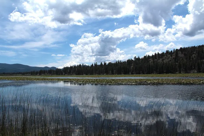 Orr Lake Campground Picture 10
