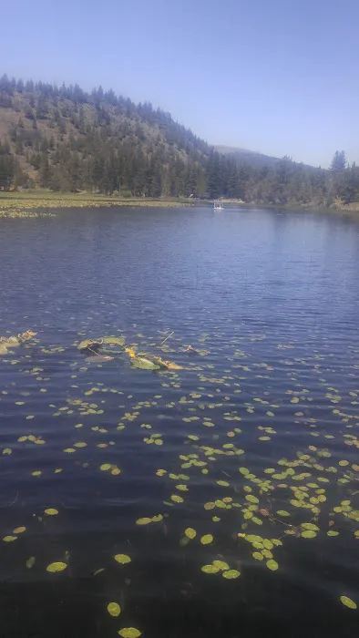 Orr Lake Campground Picture 3