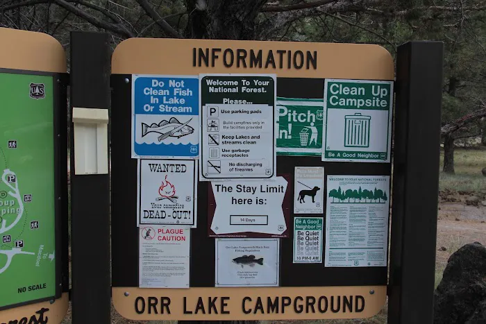 Orr Lake Campground Picture 8