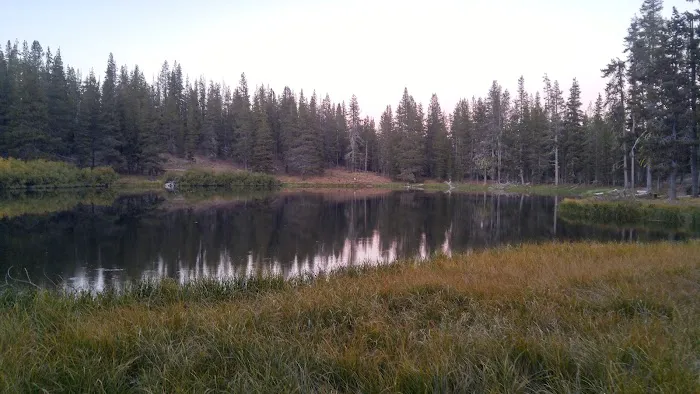 Little Medicine Lake Picnic Site (recgovnpsdata) Picture 5