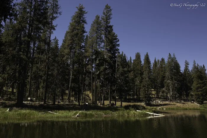 Little Medicine Lake Picnic Site (recgovnpsdata) Picture 1
