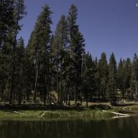 Little Medicine Lake Picnic Site (recgovnpsdata) ico