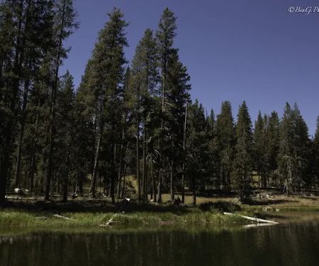 Little Medicine Lake Picnic Site (recgovnpsdata)