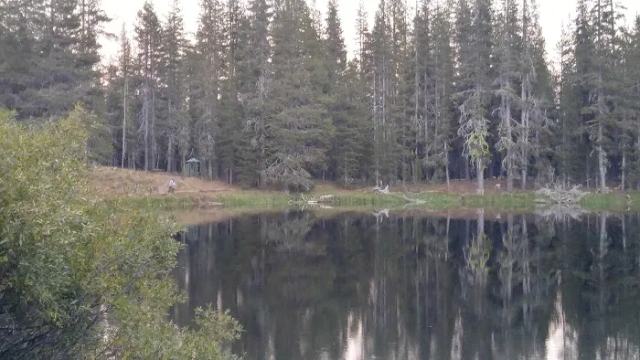 Little Medicine Lake Picnic Site (recgovnpsdata) Picture 3