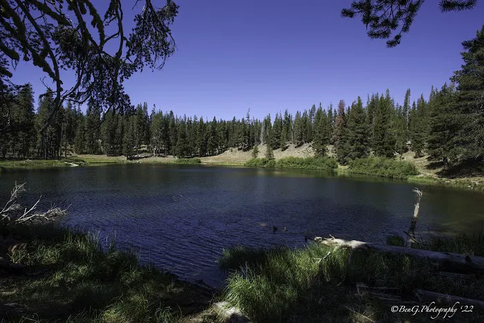 Little Medicine Lake Picnic Site (recgovnpsdata) Picture 2