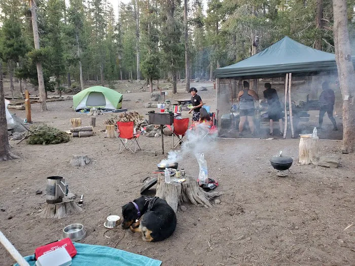 Medicine Campground Picture 8