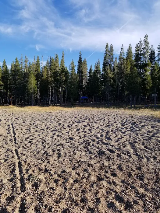 Medicine Campground Picture 5