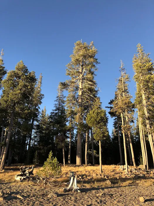 Medicine Campground Picture 10