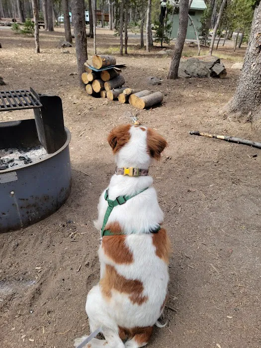 Medicine Campground Picture 2